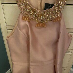 Adrianna Papell Dusty Pink Dress with Jewel Neckline